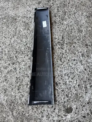RDX 2023 Door Moulding