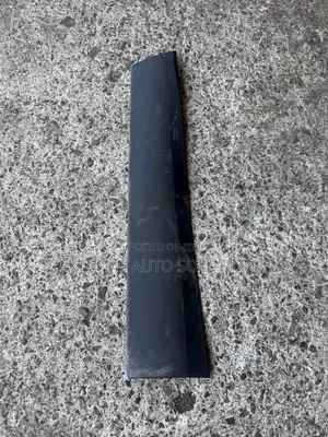RDX 2023 Door Moulding