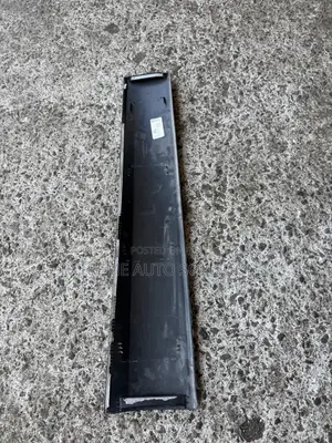 RDX 2023 Door Moulding