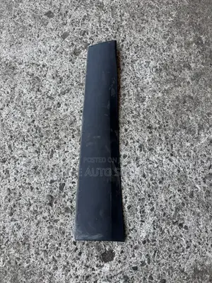 RDX 2023 Door Moulding