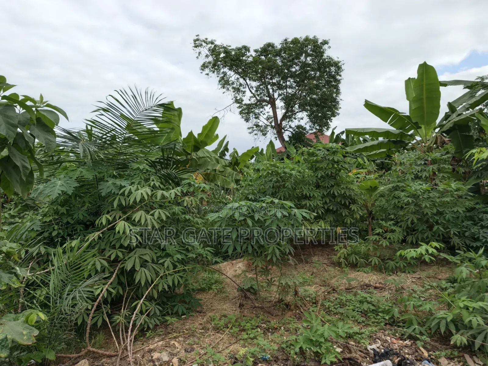 Plot for Sale at Atonsu Feyiase ( Close to Main Highway)