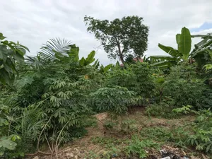 Plot for Sale at Atonsu Feyiase ( Close to Main Highway)