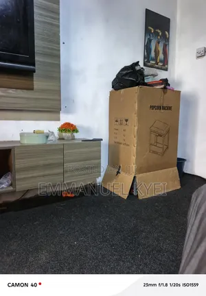 Electric Popcorn Machine