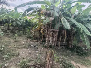 Plot for Sale at Atonsu Fabi Junction