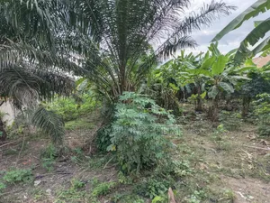 Plot for Sale at Atonsu Fabi Junction