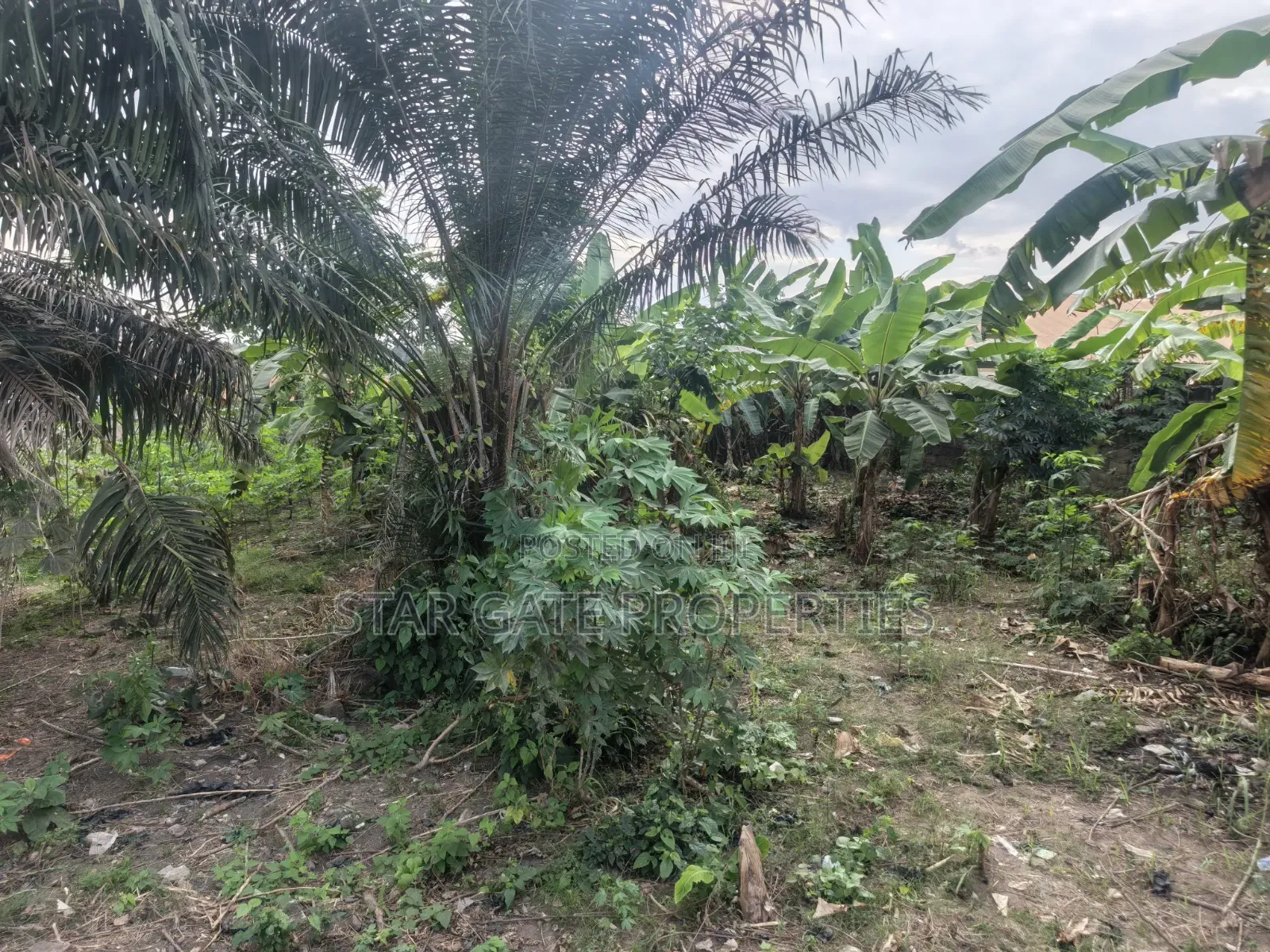 Plot for Sale at Atonsu Fabi Junction