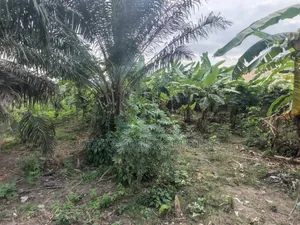 Plot for Sale at Atonsu Fabi Junction