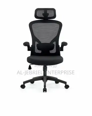 Eldo Mesh Chair
