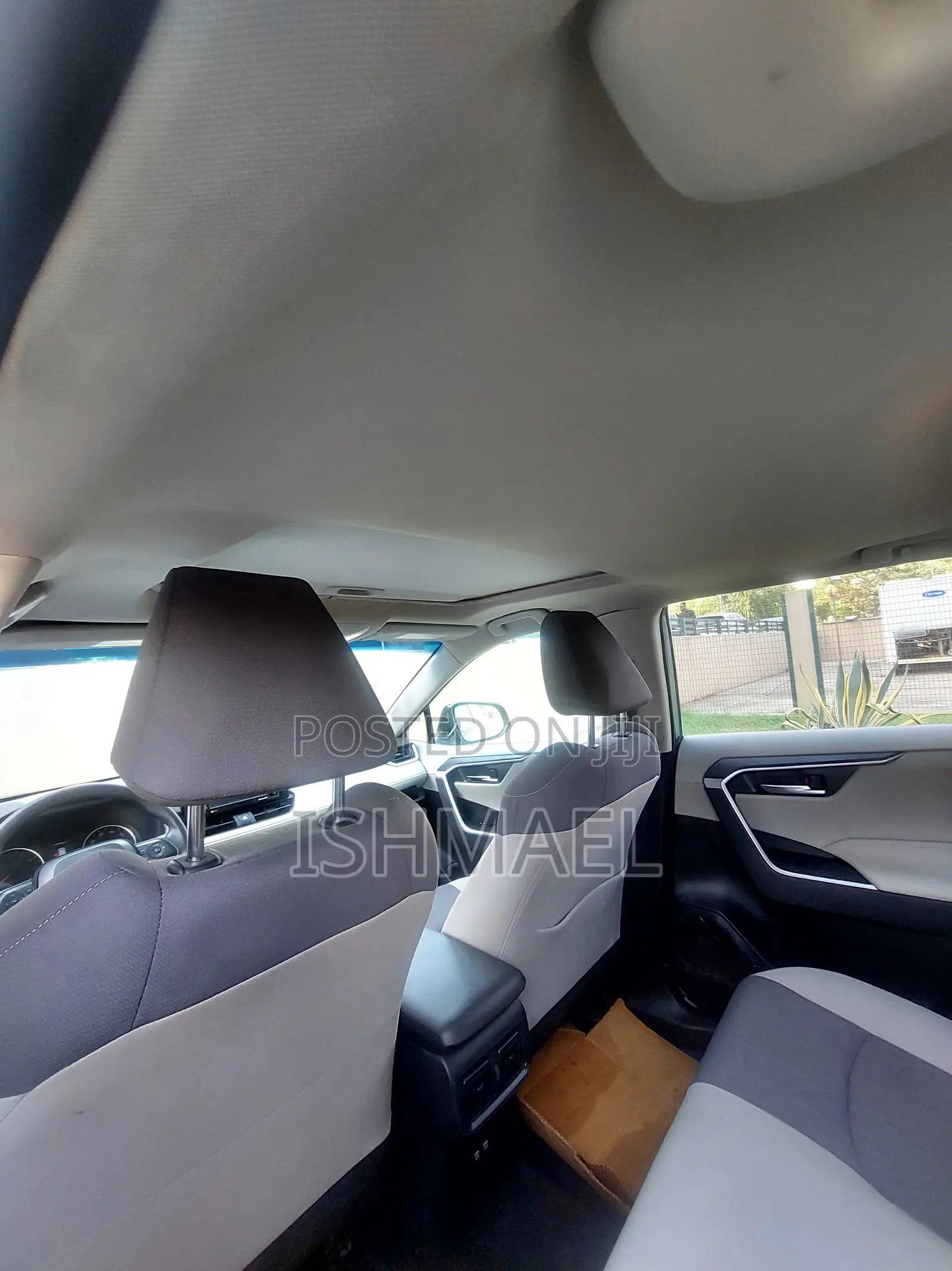 Toyota RAV4 XLE 2021 Green