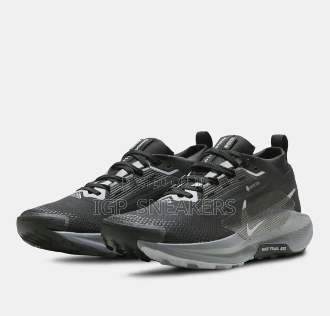 Nike Pegasus Trail 5 GORE-TEX