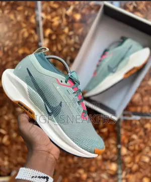 Nike Pegasus Trail 5 GORE-TEX