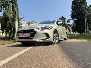 Hyundai Elantra 2017 Gray