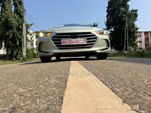 Hyundai Elantra 2017 Gray