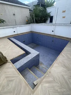 Swimming Pool Service