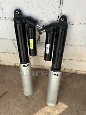 FORD F150 RAPTOR Shock Absorbers Fit Ford F150 SVT Raptor 2010-2023