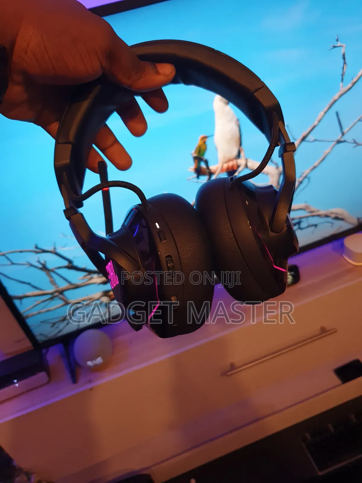 JBL Quantum 910 Wireless Gaming Headset