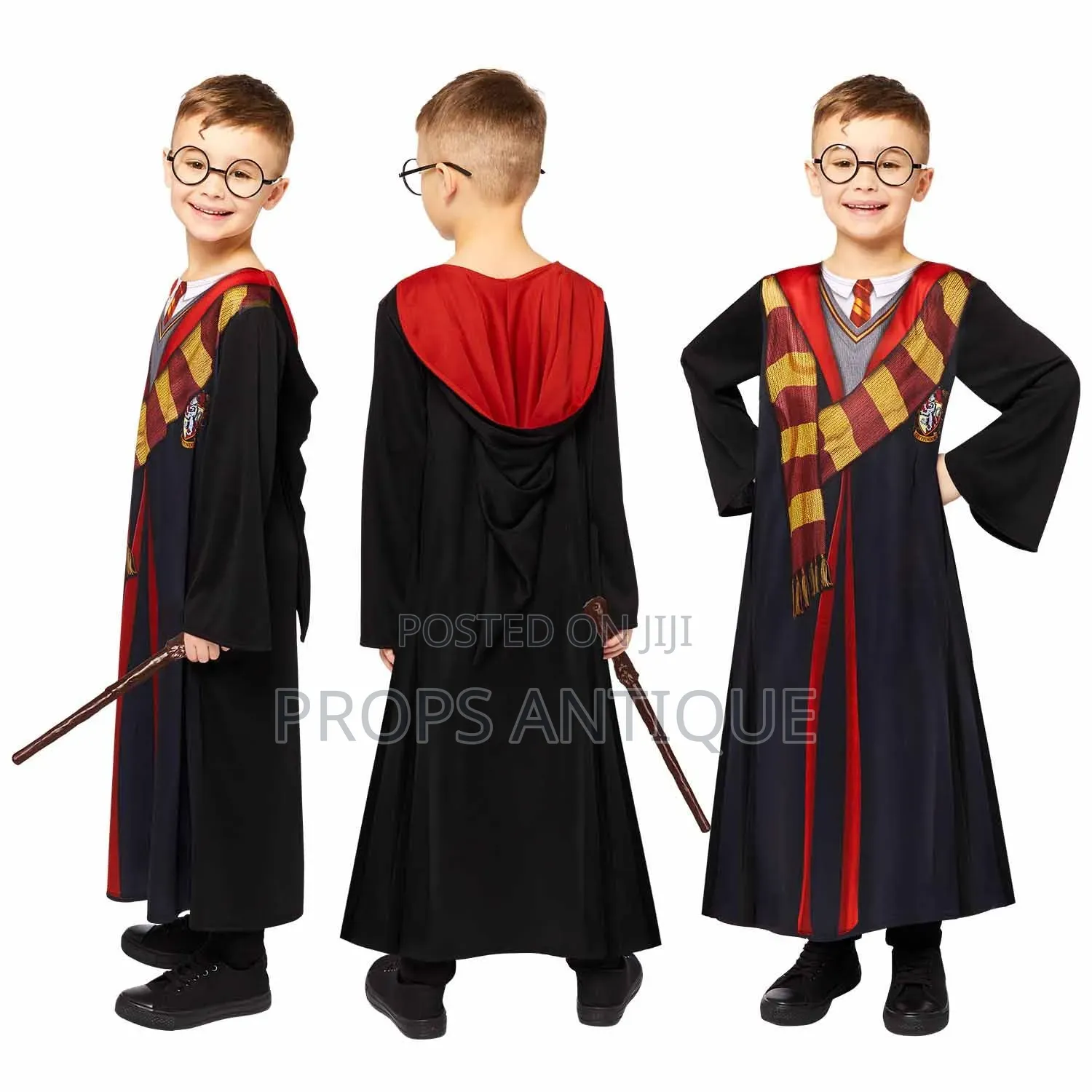 Harry Potter Costumes and Accessories