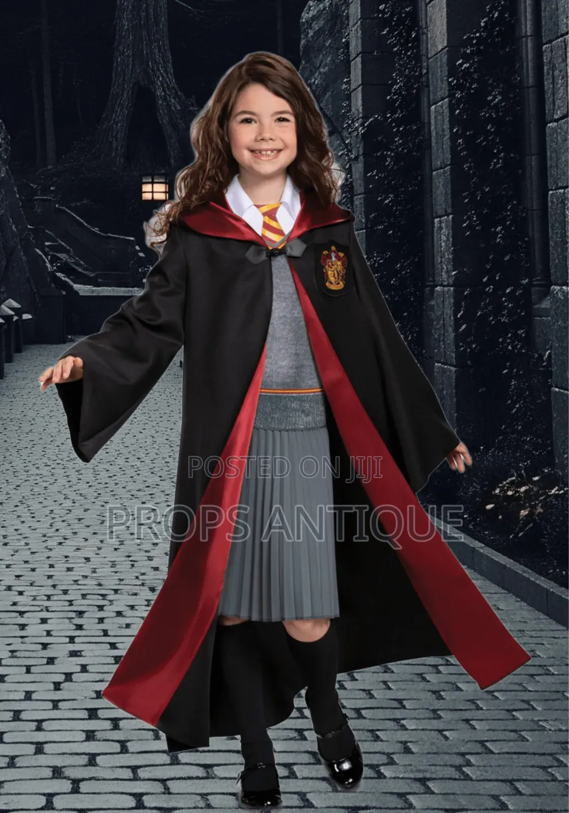 Harry Potter Costumes and Accessories