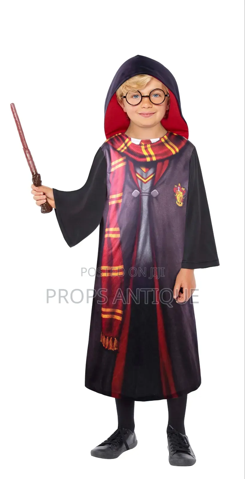 Harry Potter Costumes and Accessories