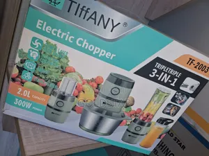 Electric Chopper 3 in 1