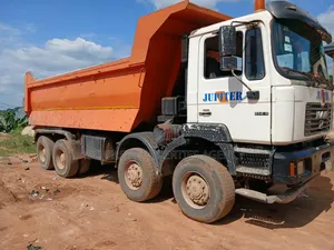 Man Truck 403