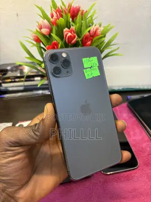 Apple iPhone 11 Pro Max 256 GB Gray