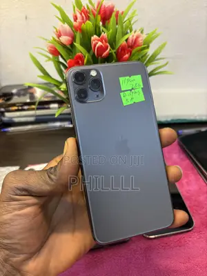 Apple iPhone 11 Pro Max 256 GB Gray