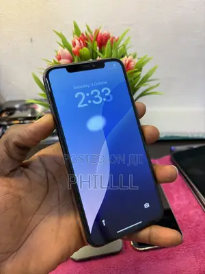 Apple iPhone 11 Pro Max 256 GB Gray