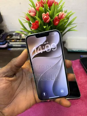Apple iPhone 12 Pro 256 GB Gray
