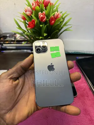 Apple iPhone 12 Pro 256 GB Gray