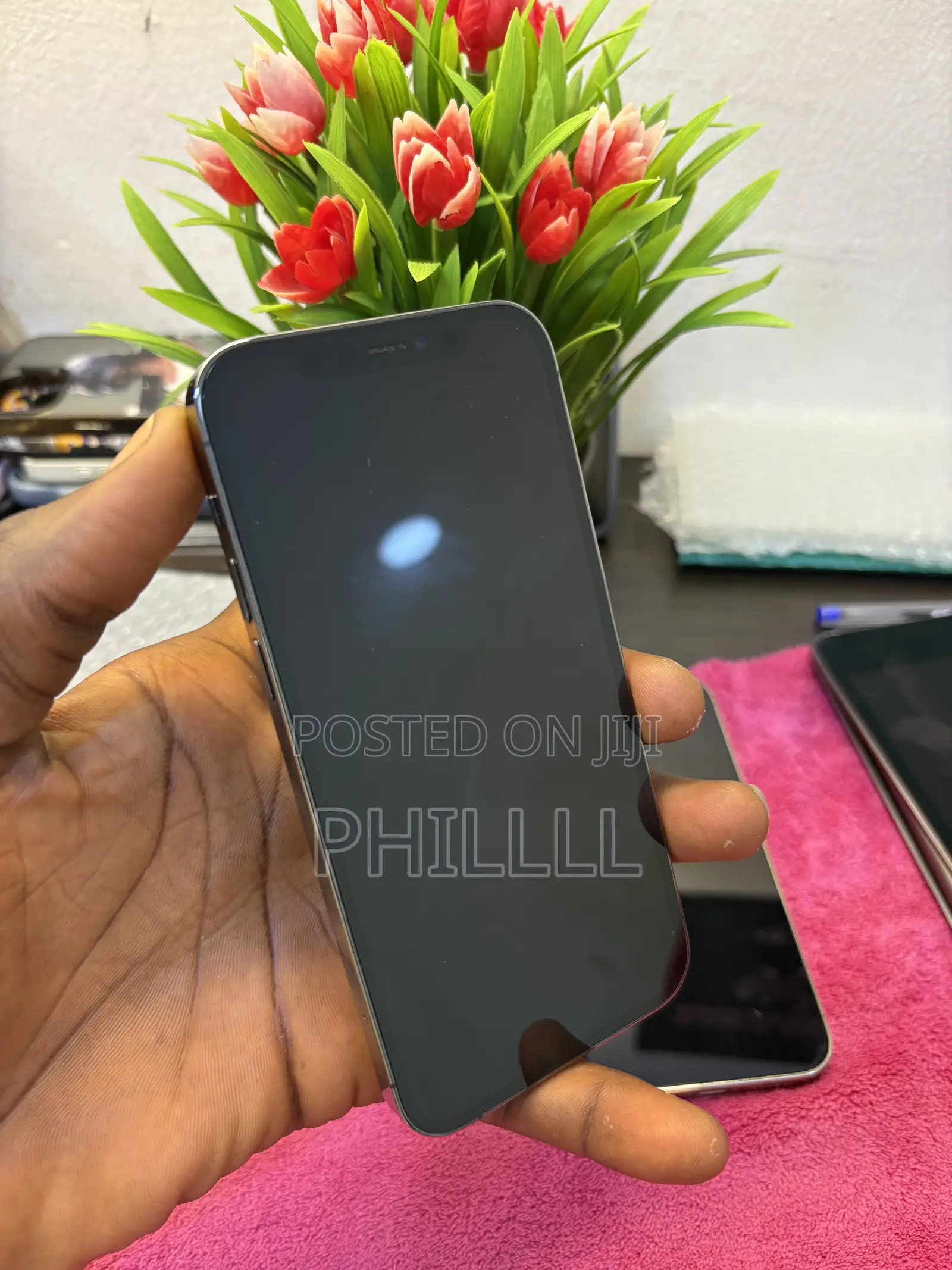 Apple iPhone 12 Pro 256 GB Gray