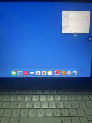 Apple iPad Pro 2 TB Gray