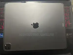 Apple iPad Pro 2 TB Gray