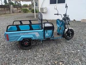 New Tricycle 2026 Blue