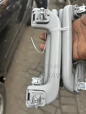 Top Ceiling Handles and Inside Light Plug for All Cars