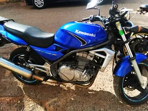 Kawasaki 2017 Blue