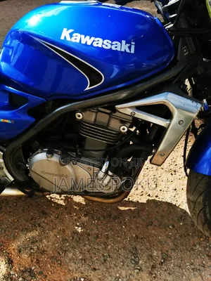 Kawasaki 2017 Blue