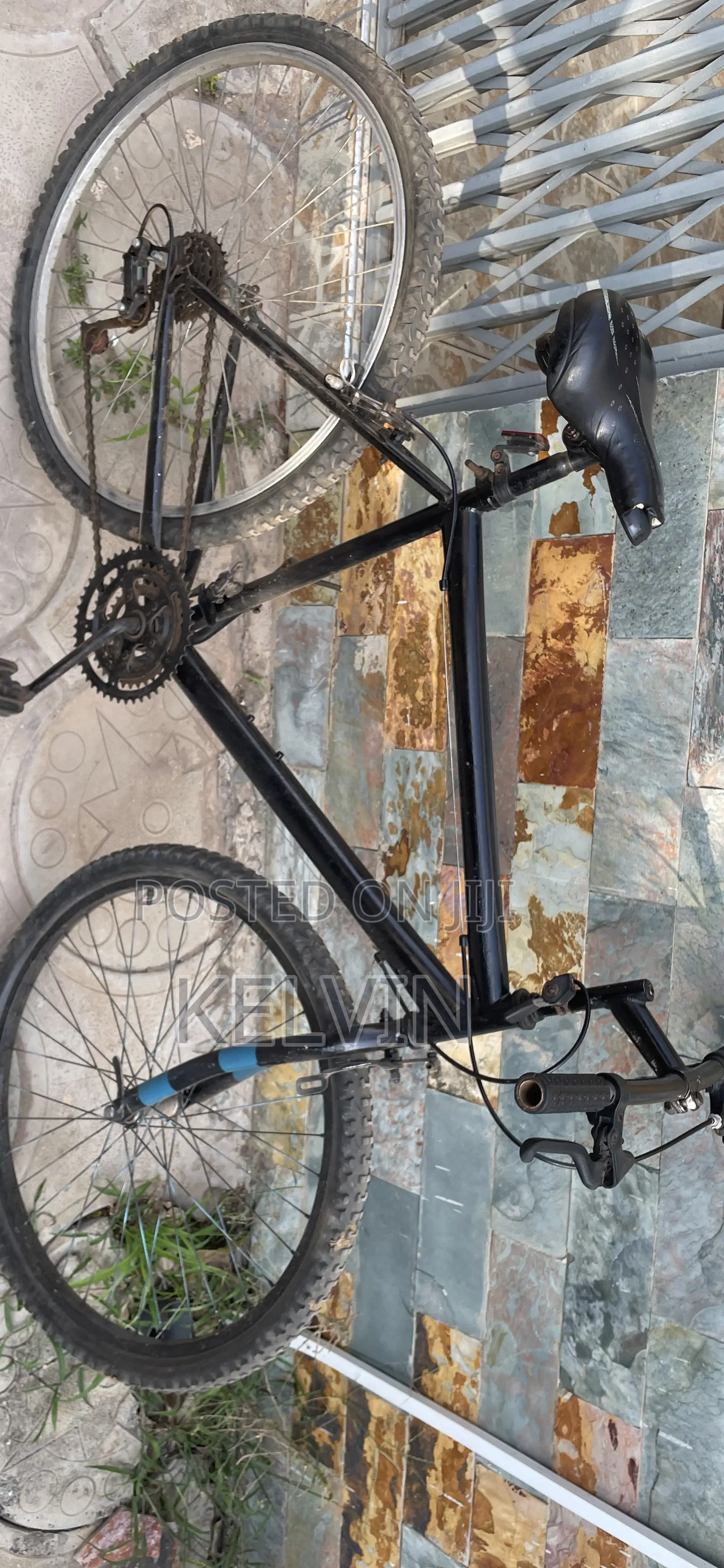 Mountain Bike