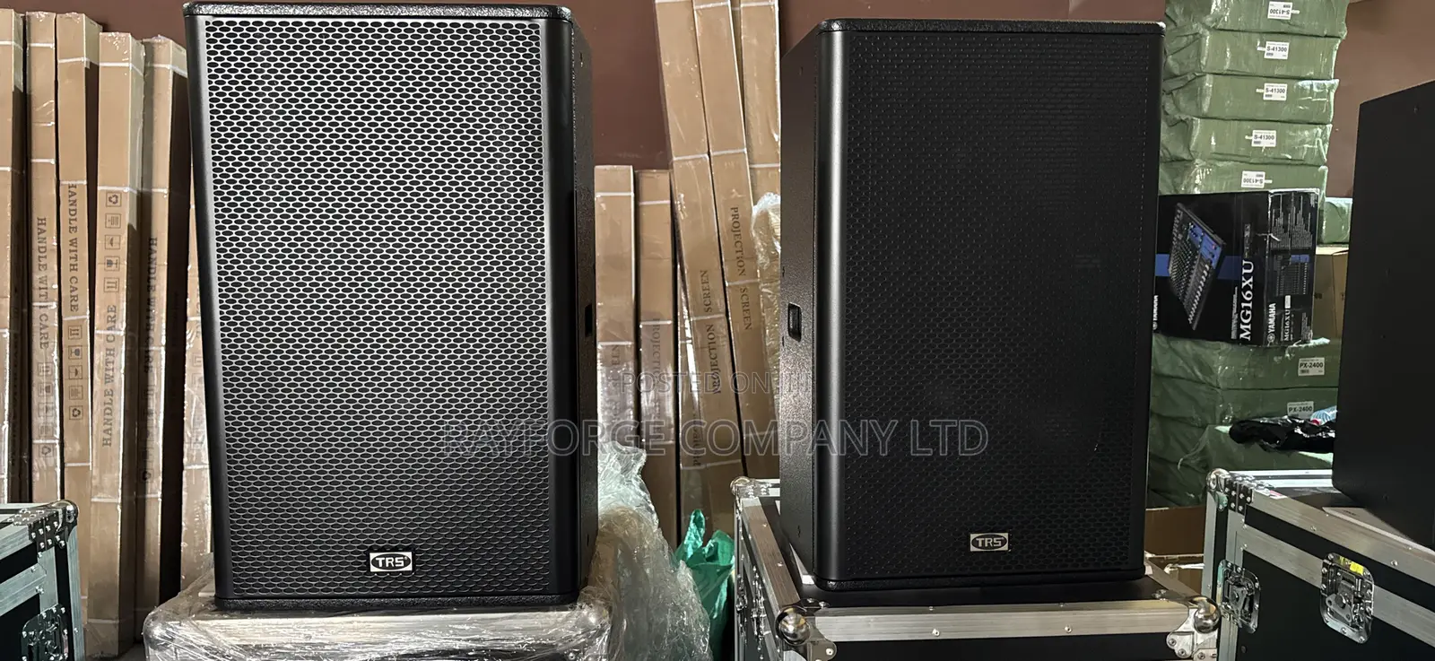 15-Inch Two-Way Full-Range Multipurpose Speaker