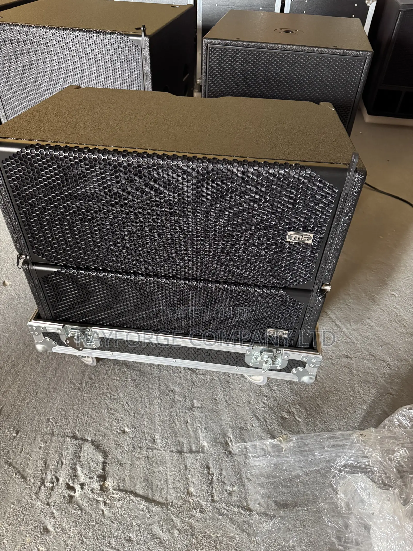 Dual 10-Inch Waterproof Linear Array