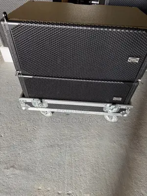 Dual 10-Inch Waterproof Linear Array