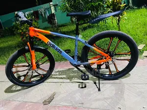 Modern Bike