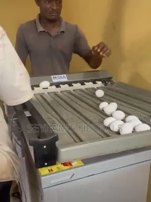 Egg Sorter