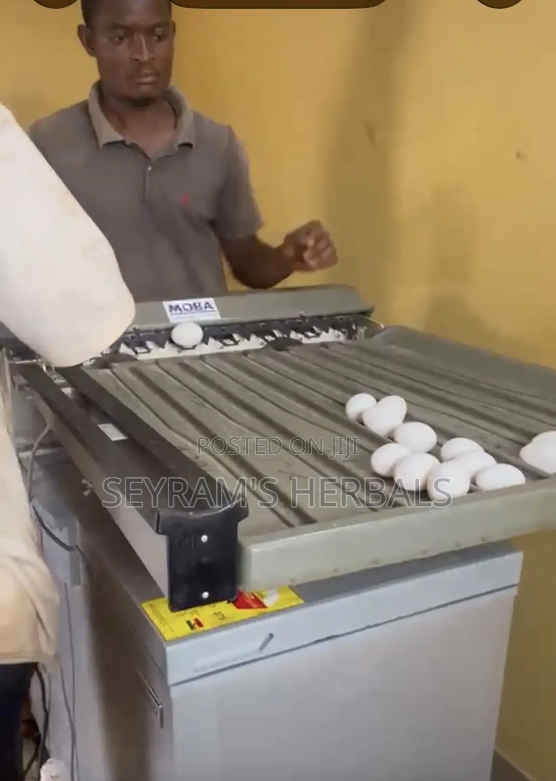 Egg Sorter