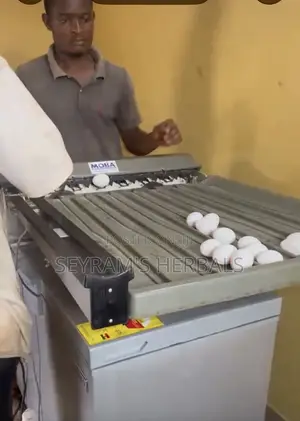Egg Sorter