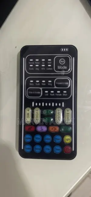 Voice Changer Device