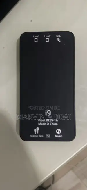 Voice Changer Device