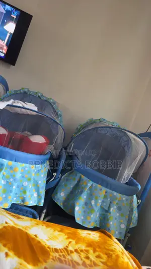 Baby’s Bassinet