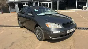 Toyota Corolla LE 2007 Gray