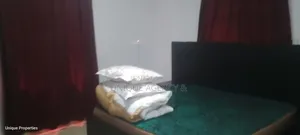 Furnished 3bdrm Duplex in Adenta for rent
